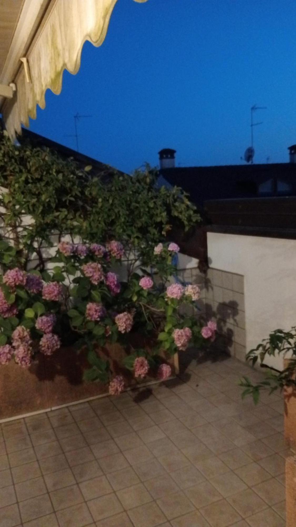 Attico Di Marisa Apartment Кодройпо Екстериор снимка
